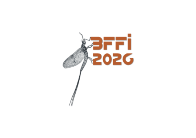 bffi wielka brytania logo