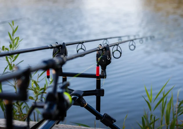 jesienne karpie karpiarstwo jesienia poradnik jesienne karpie karpiarstwo jesienią poradnik