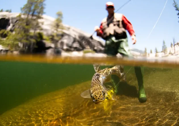 wędkarstwo muchowe co to