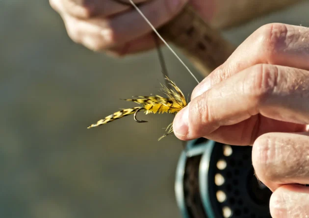 wiosenne wędkarstwo muchowe